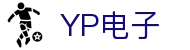 YP电子集团股份有限公司